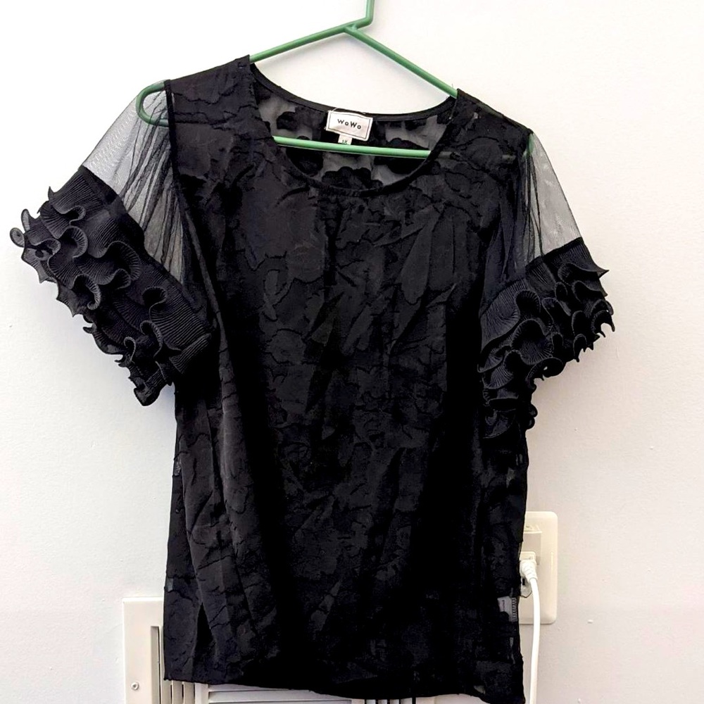 Sheer Blouse
